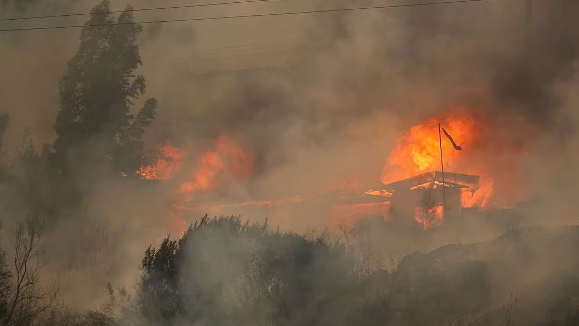 चिलीच्या जंगलात लागलेल्या आगीत ६४ जणांचा मृत्यू झाला आहे, शहरी भागाला धोका आहे